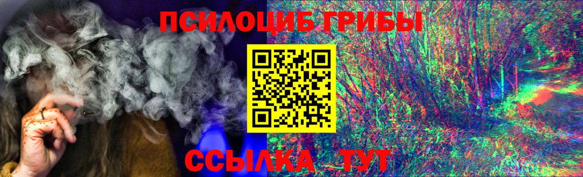 Псилоцибиновые грибы Psilocybe  где продают наркотики  Оренбург  Вход с VPN 